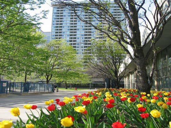 Chestnut Residence and Conference Centre - University of Toronto