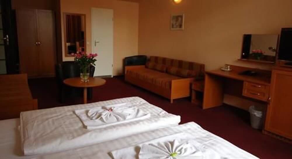 Hotel Aster