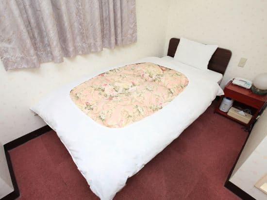 Namba Plaza Hotel
