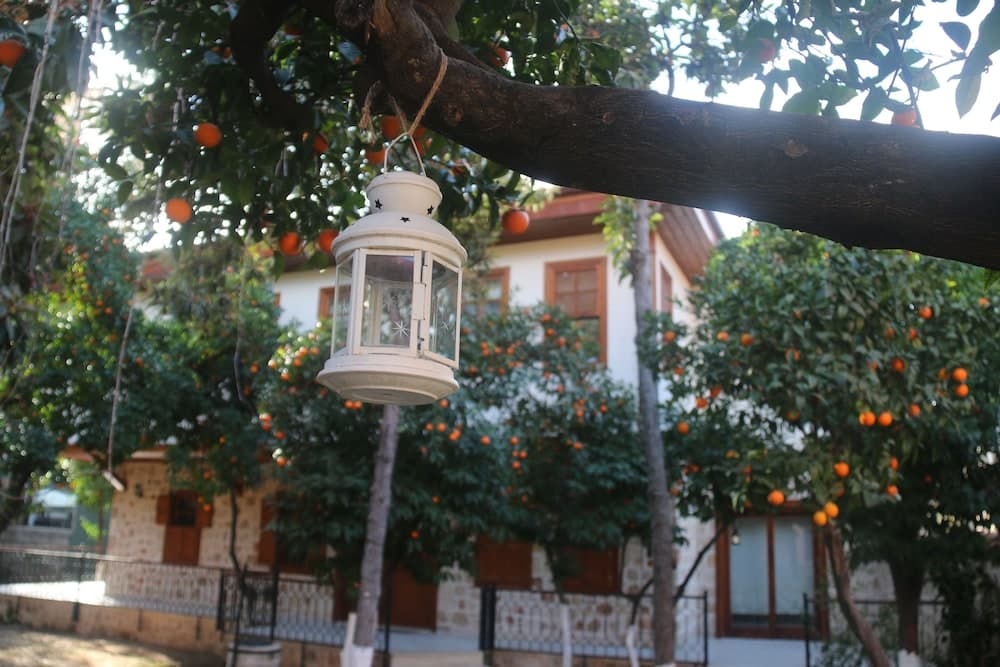 Citrus Garden Hotel