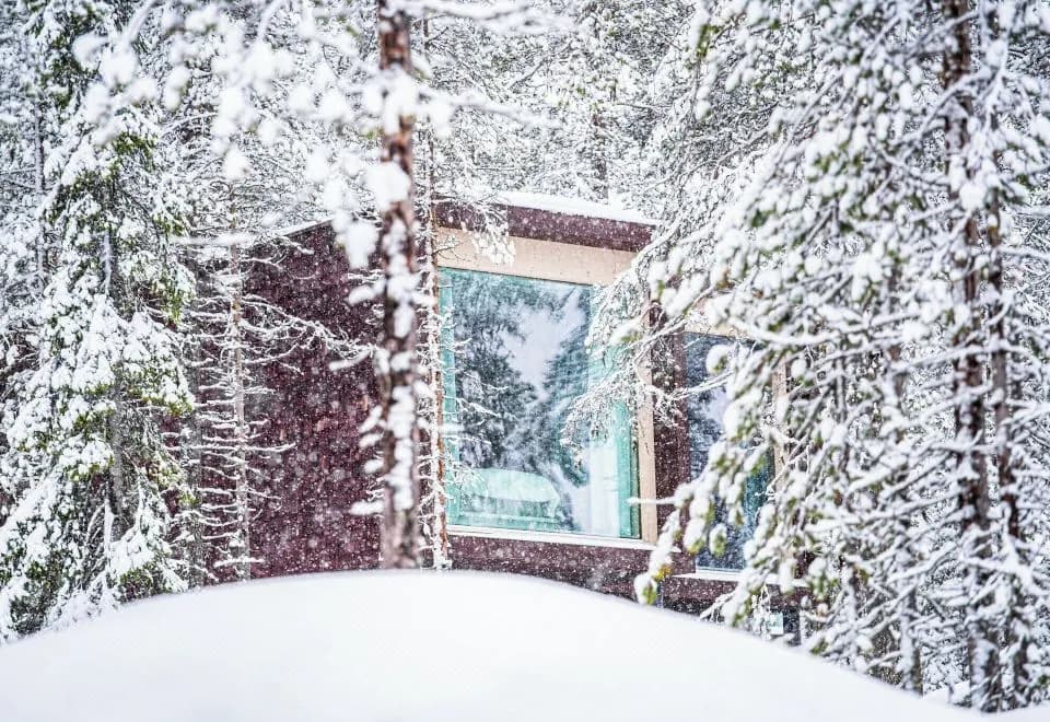Arctic TreeHouse Hotel