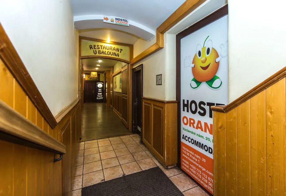 Hostel Orange