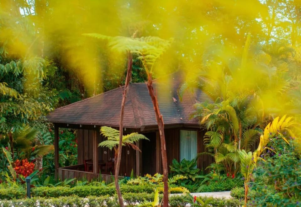 Hotel Lomas del Volcan