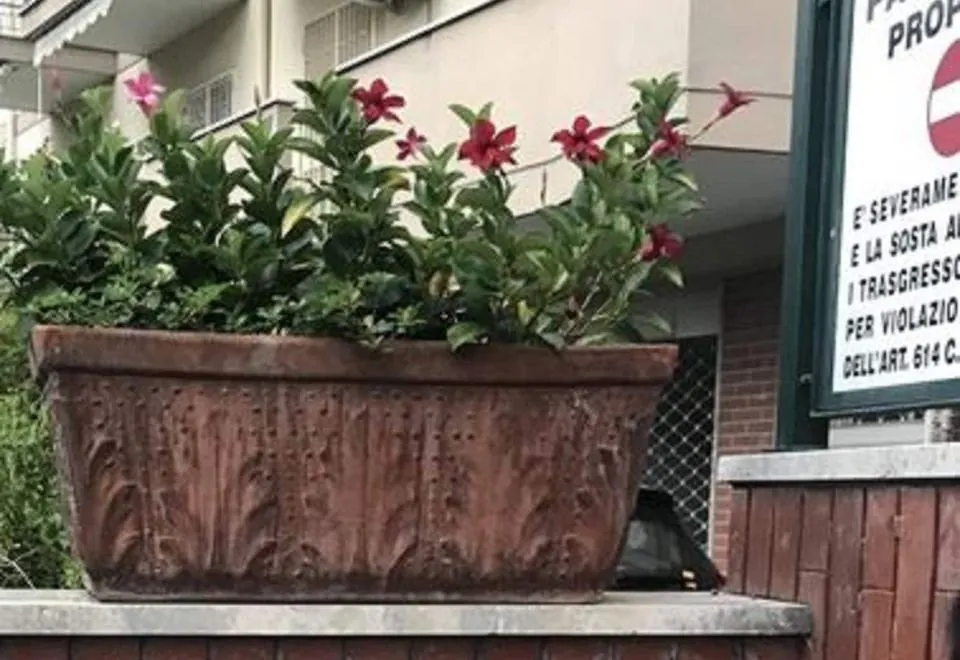 Al Parco Primavera