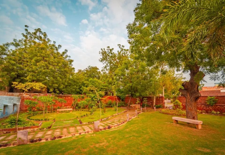 Tree Of Life Bhadrajun House, Jodhpur