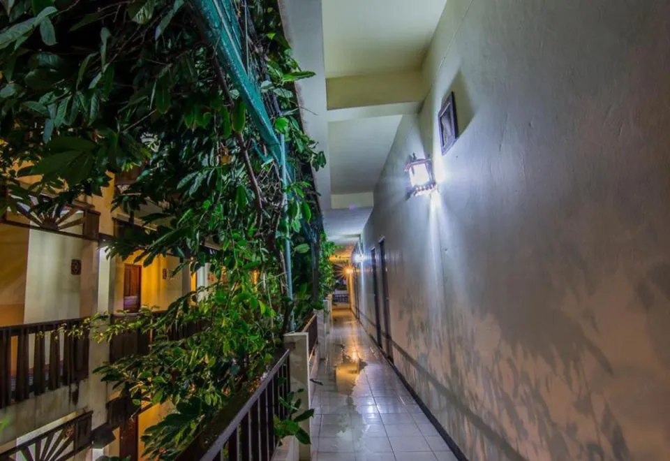 Sutus Court 5