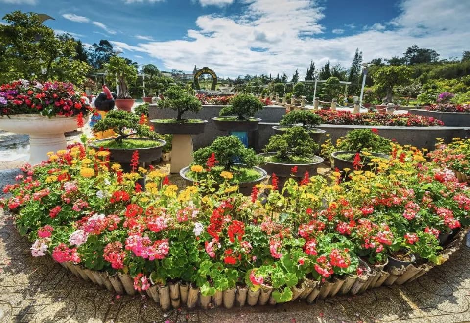 The Luxe Da Lat