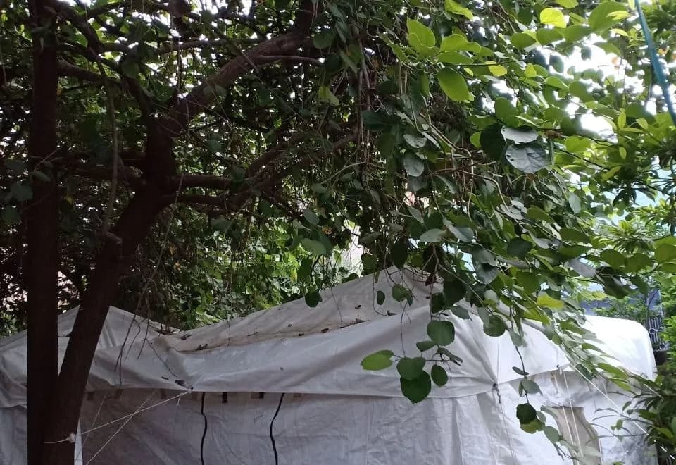 Nature Trail Camps & Homestay