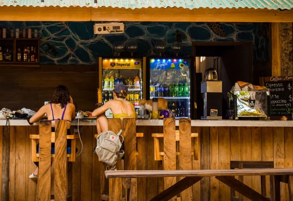 Dreamsea Surf Camp