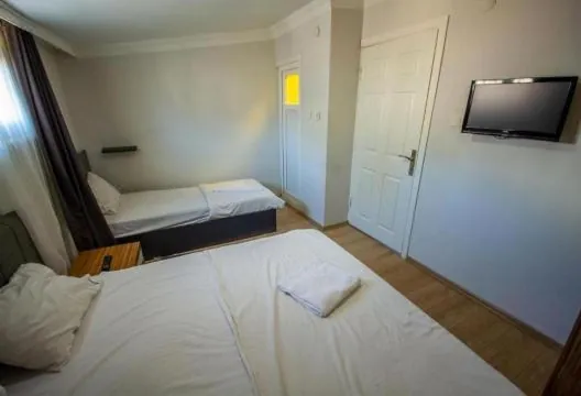 Istanbul Altun Life Hotel