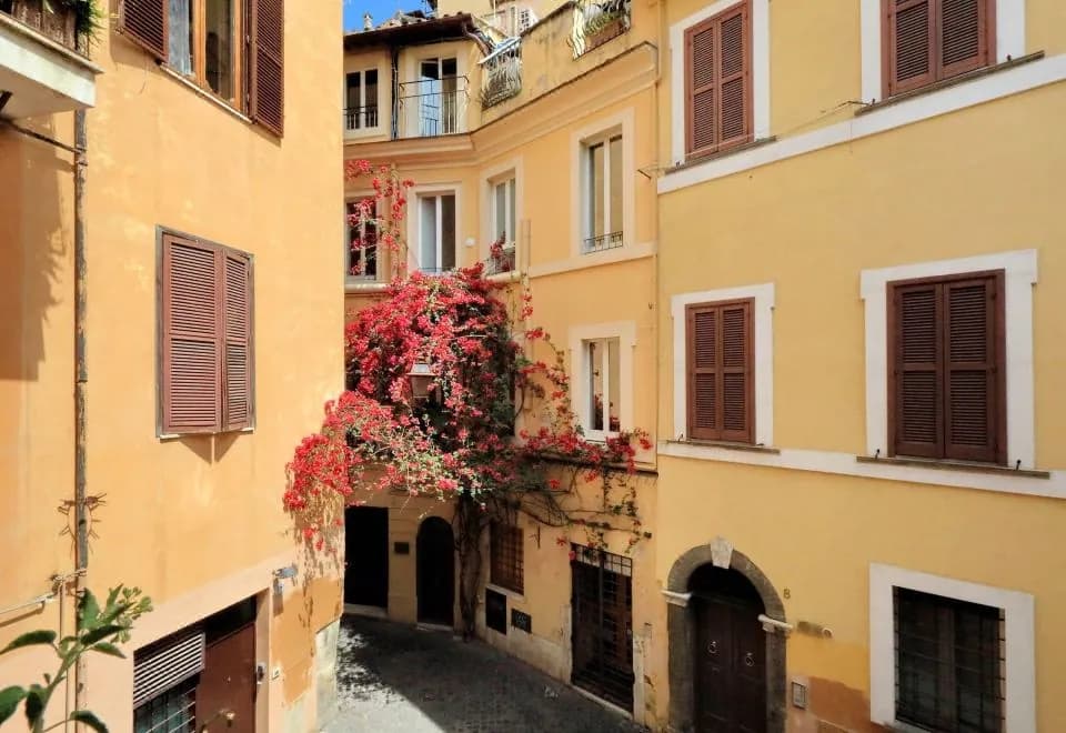 Bollo - WR Apartments
