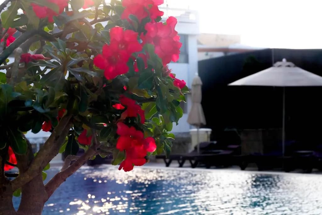 LK the Empress