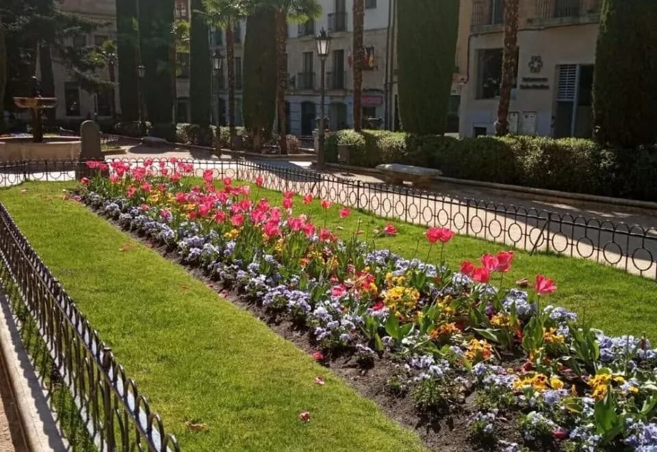 Salamanca Suites Libertad