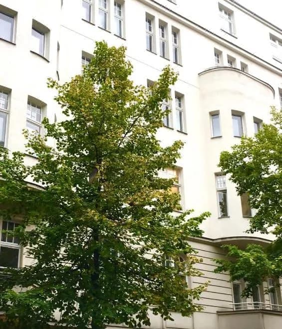 Kurfürst am Kurfürstendamm