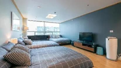 Willow House Hongdae