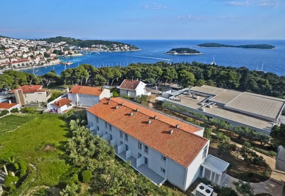 Violeta Hvar