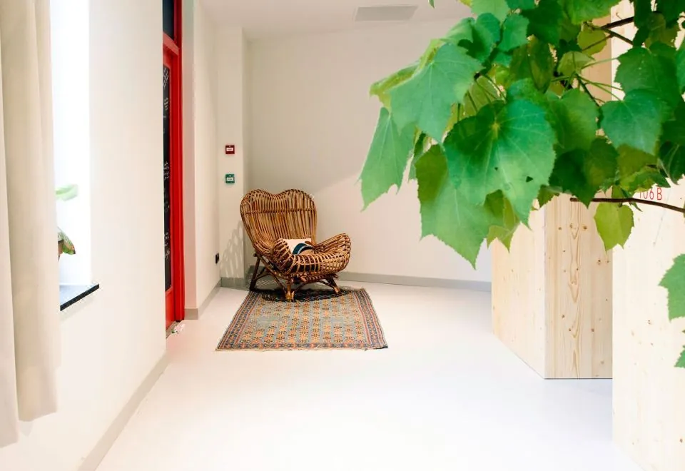 The Green Elephant - Hostel