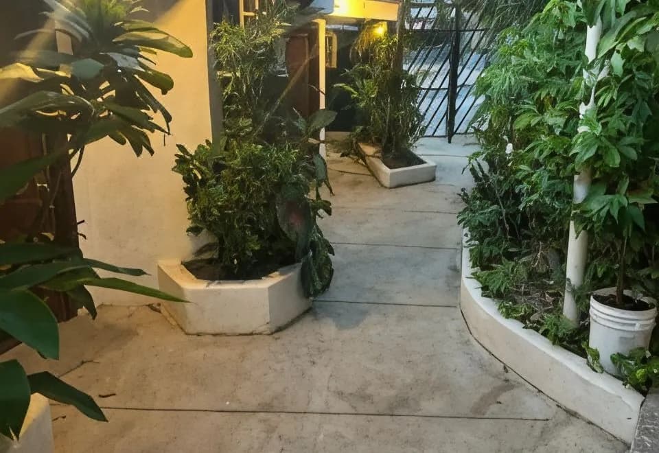 Pura Vida Hostel