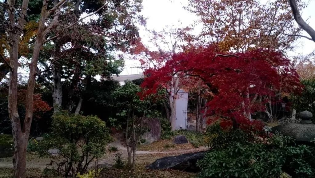 Yufuso Beppu - 友冨荘 別府 -
