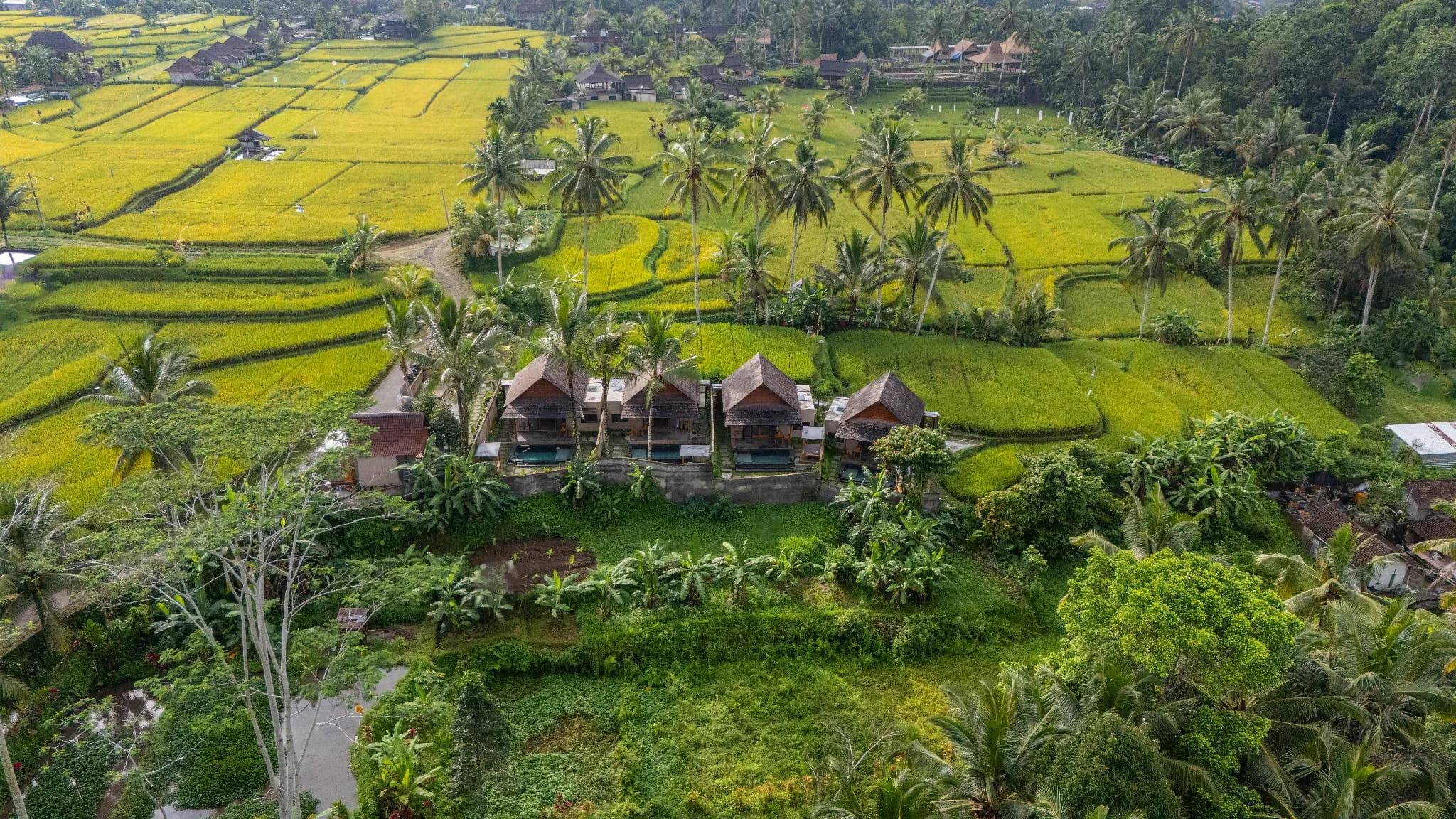 Moonterra Villa Sebatu