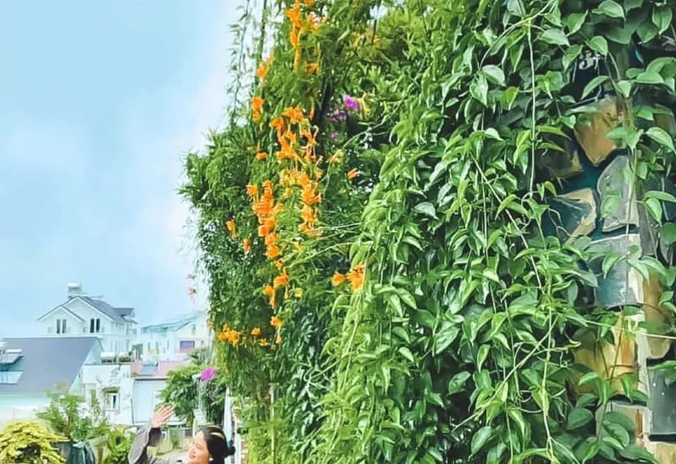 Homestay Thuy Duong