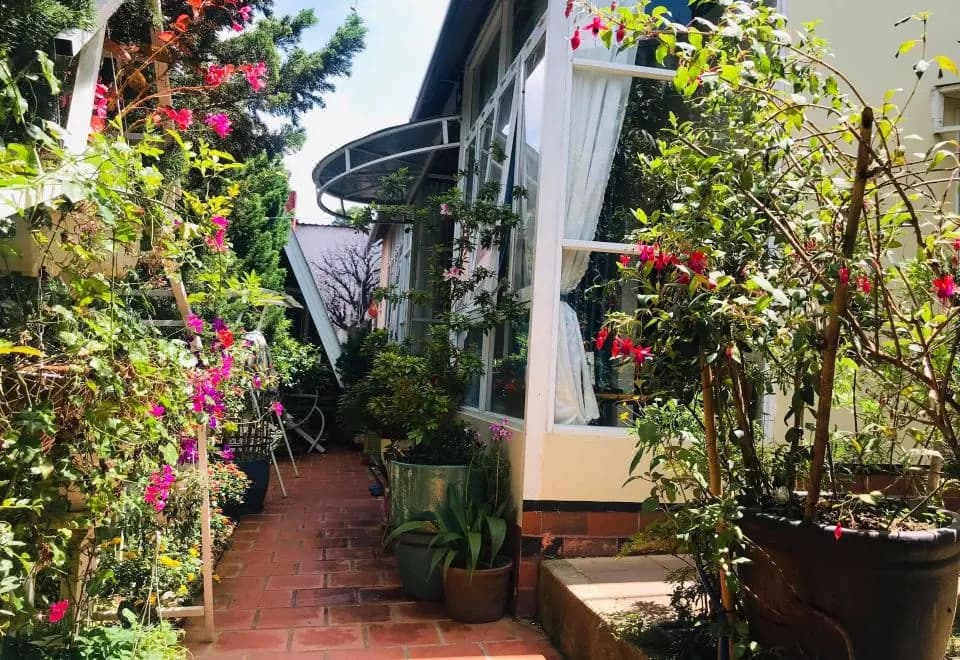Homestay VuonTung (Pine Garden)