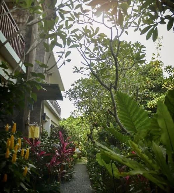 Bumi Muwa Ubud at Monkey Forest