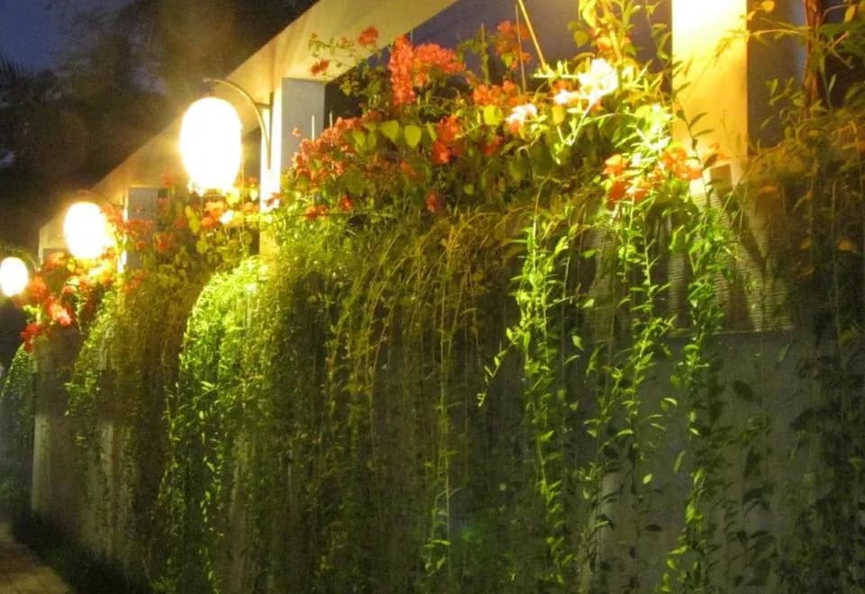 Bali Ginger Suites & Villa
