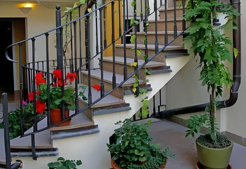 Black Star Suites