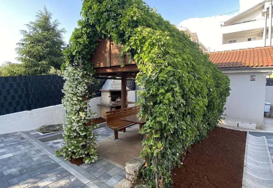 Apartments & Rooms Petra