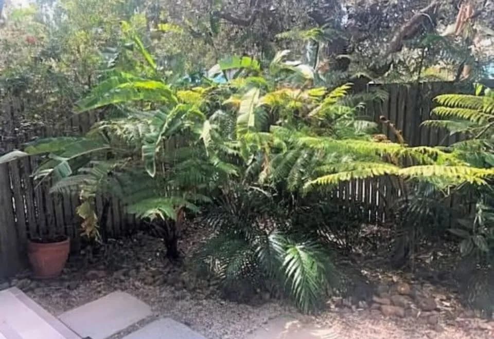 East on Byron Bay