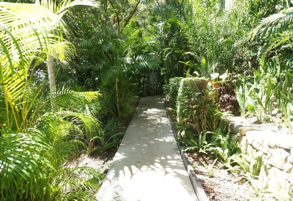Whitsunday Terraces Hotel Airlie Beach