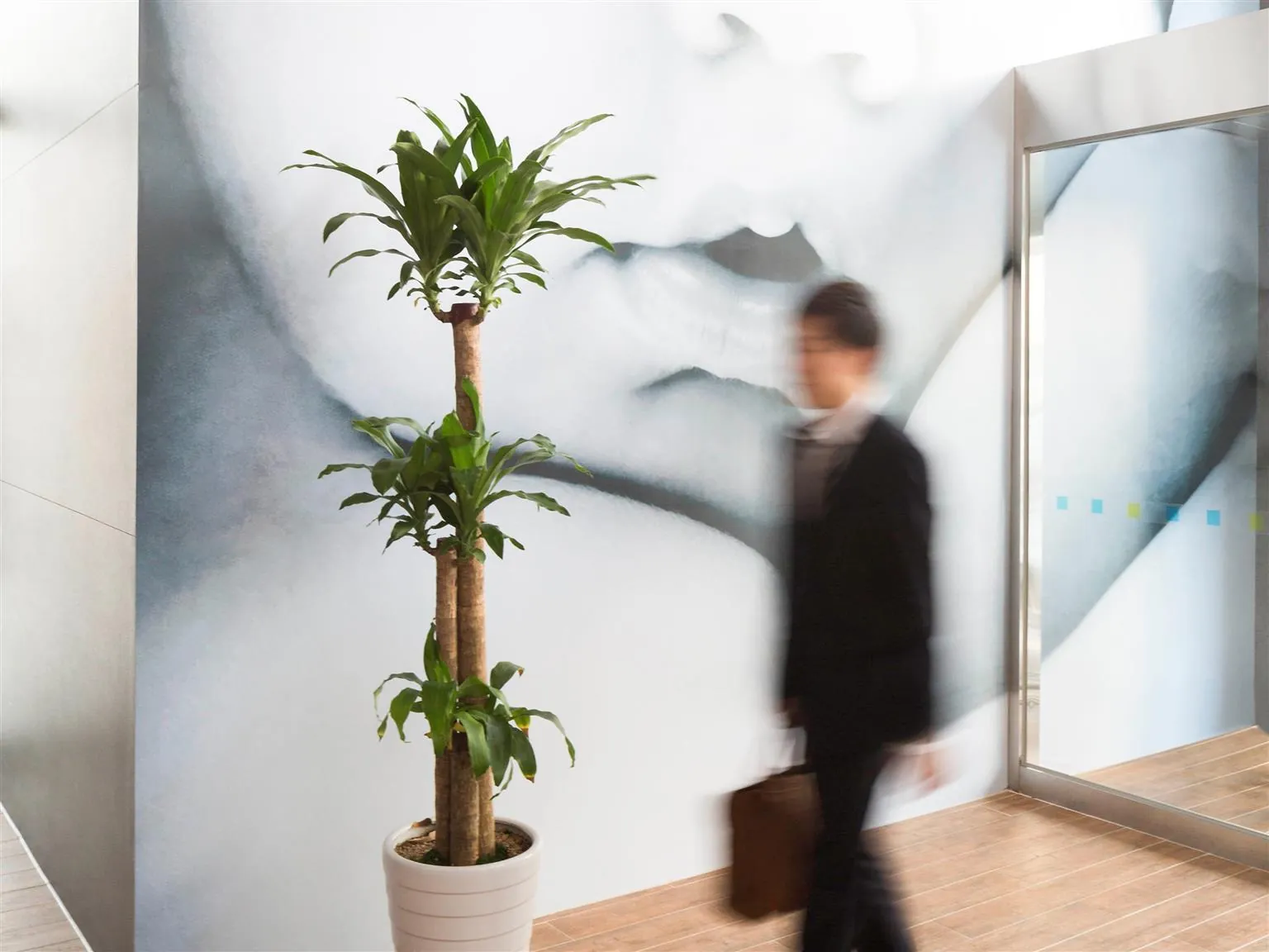 Ibis Budget Ambassador Seoul Dongdaemun
