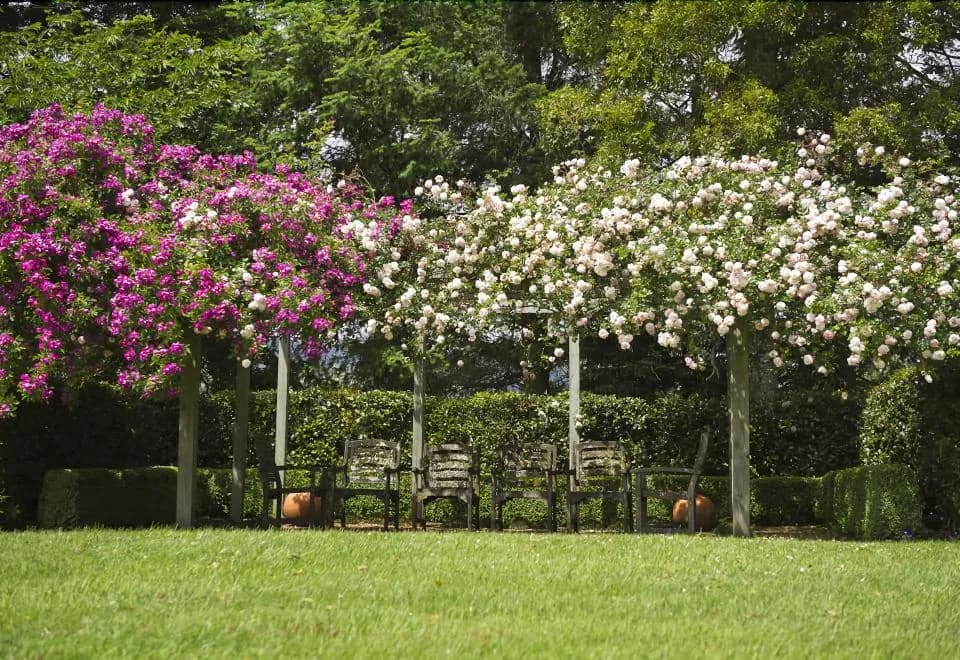 Doolans Country Retreat - Adults Only