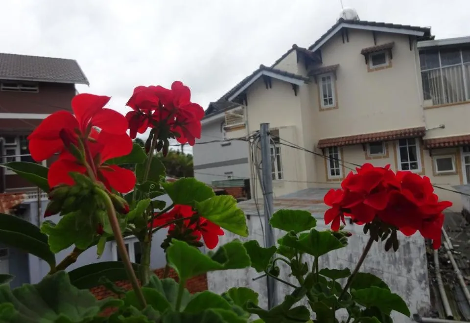 Blue Sky Homestay