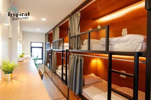 Tropical Summer Hostel