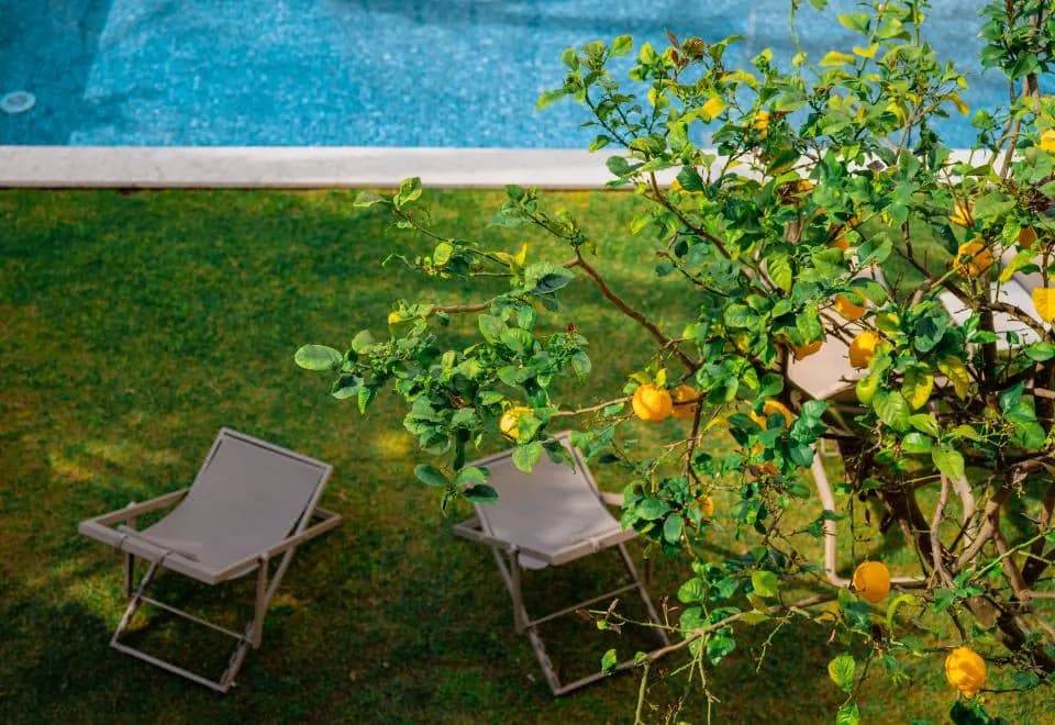 Jardim da Lapa by Shiadu