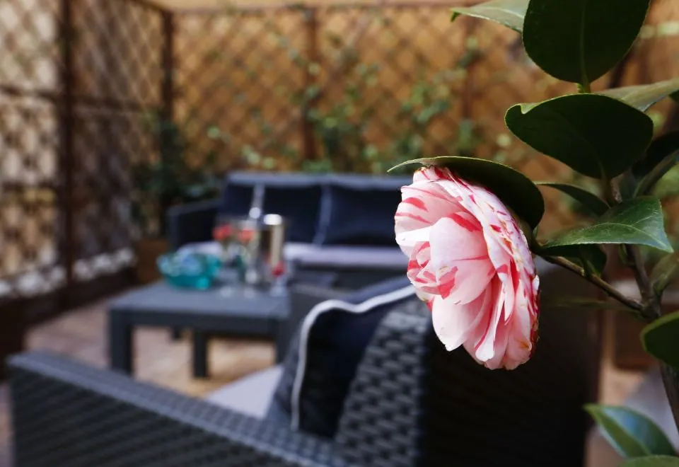 Saint B Boutique Hotel STB