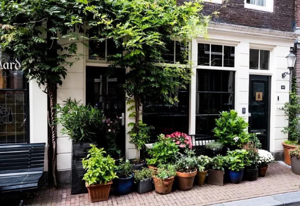 The Blossom House Amsterdam