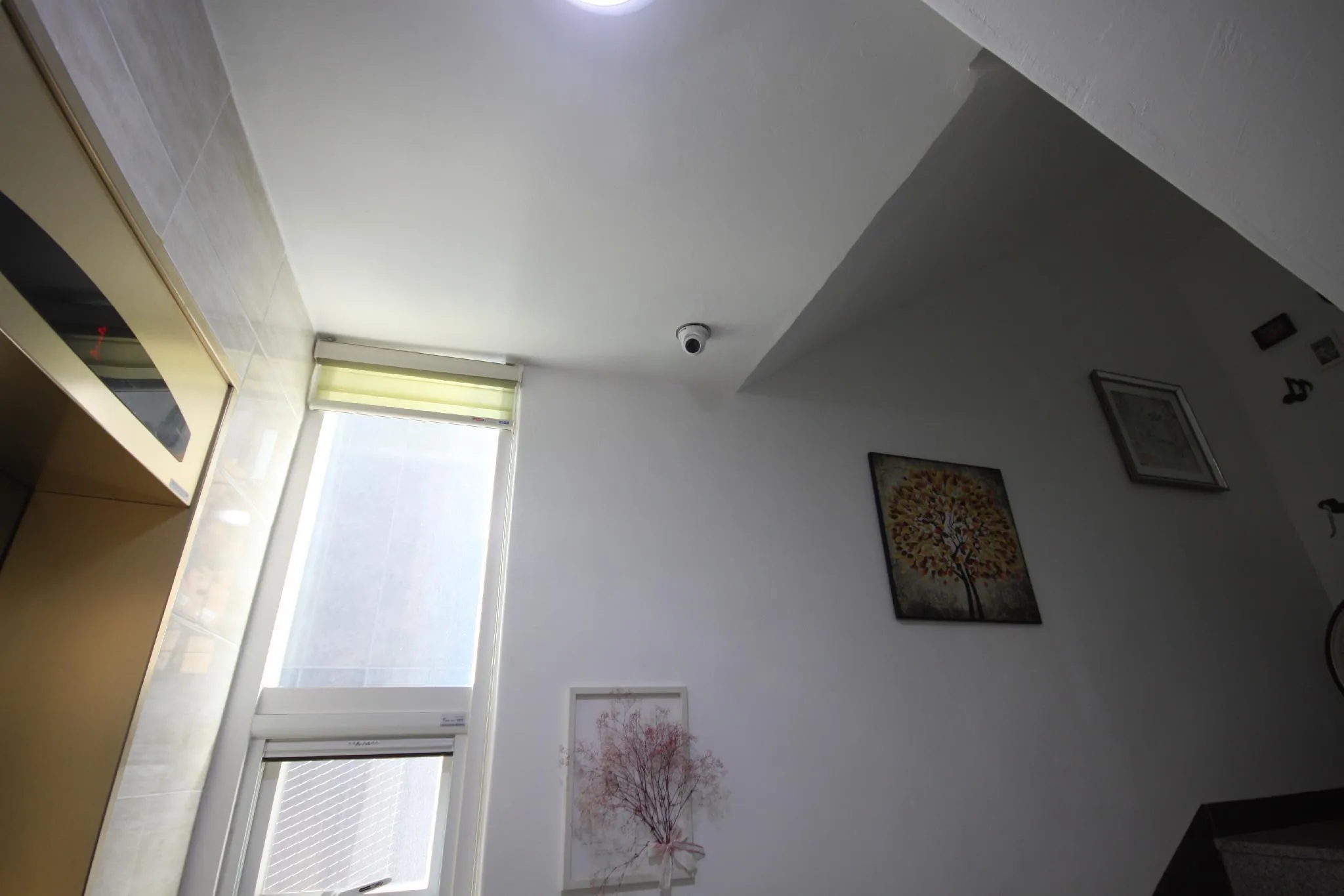 Miss Hongdae Guest House(Female Only)