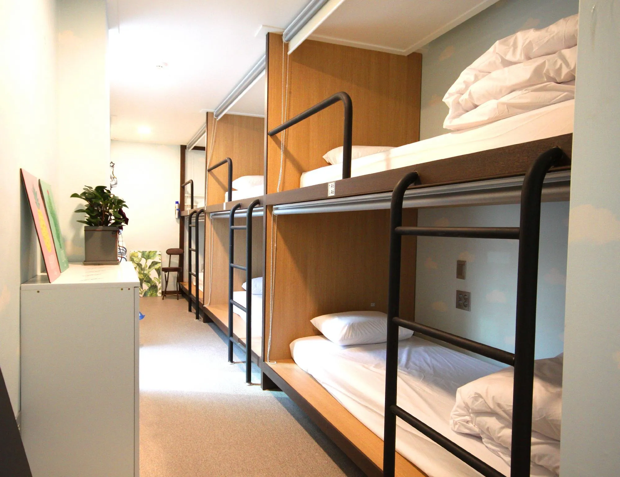 Miss Hongdae Guest House(Female Only)