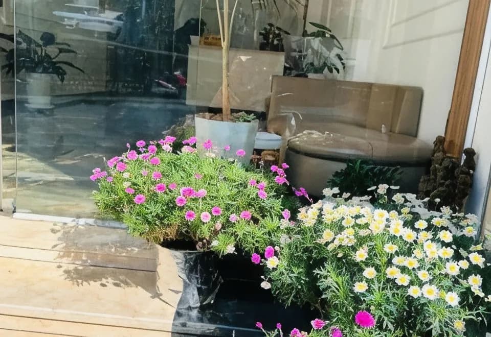 Pansy Hotel