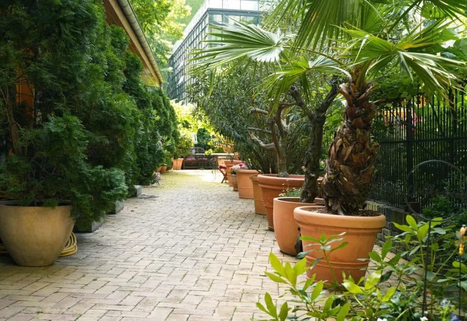 Garden Boutique Hotel