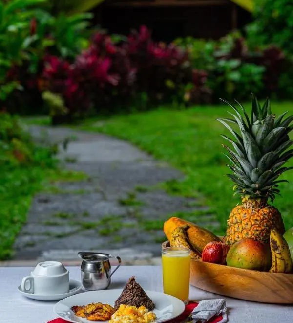 Selvita Lodge Arenal