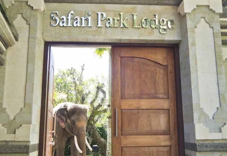 Mason Elephant Lodge