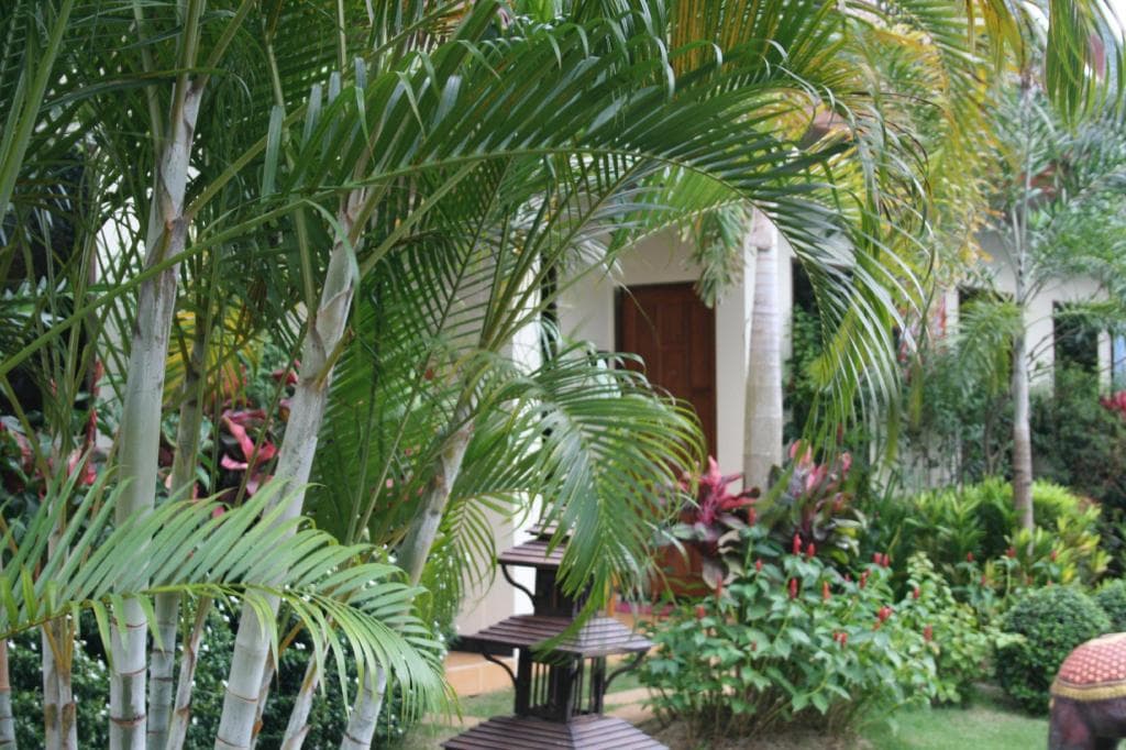 Villa Angelica Bed and Breakfast in Phuket