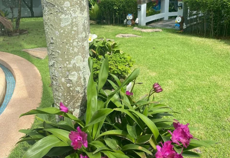 Let's Chill PoolVilla Pattaya Najomtien & Sattahip