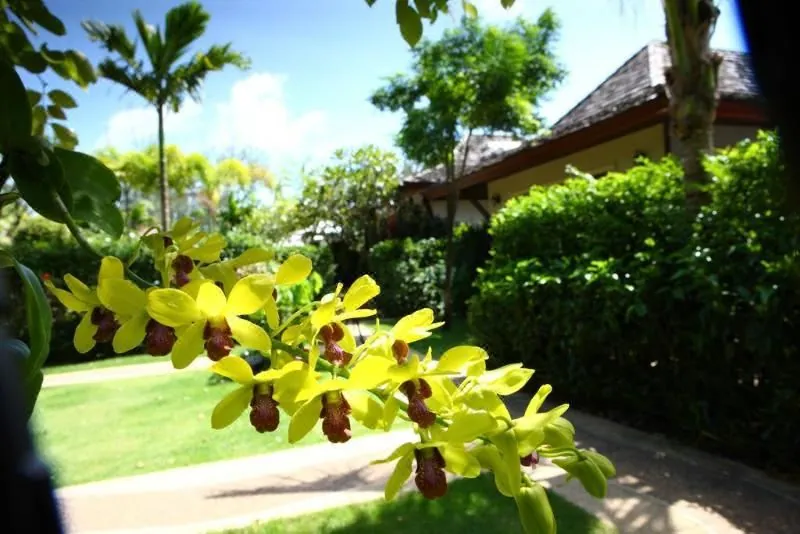 Pai Tan Villas